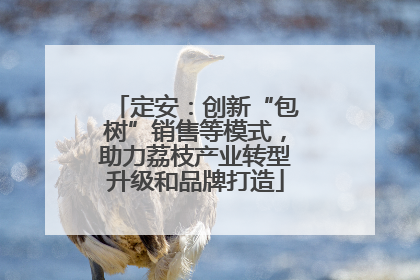 定安：创新“包树”销售等模式，助力荔枝产业转型升级和品牌打造