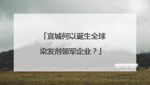 宜城何以诞生全球染发剂领军企业？