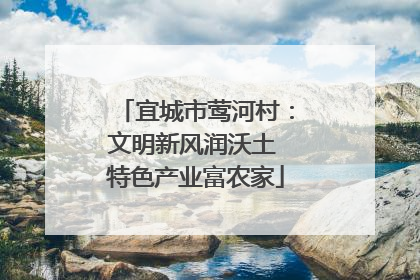 宜城市莺河村：文明新风润沃土 特色产业富农家