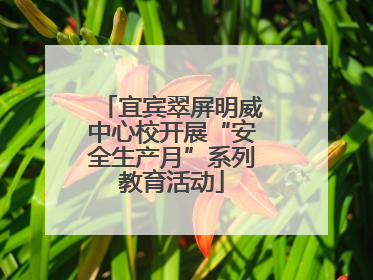 宜宾翠屏明威中心校开展“安全生产月”系列教育活动