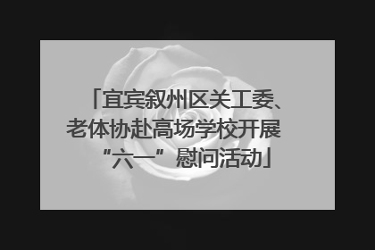 宜宾叙州区关工委、老体协赴高场学校开展“六一”慰问活动