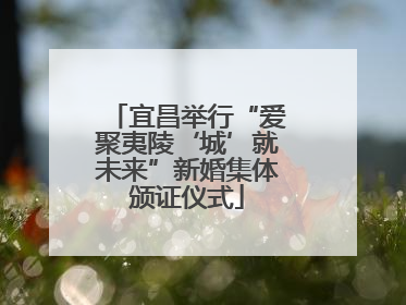 宜昌举行“爱聚夷陵‘城’就未来”新婚集体颁证仪式