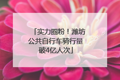 实力圈粉！潍坊公共自行车骑行量破4亿人次