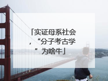 实证母系社会，“分子考古学”为啥牛