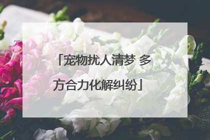 宠物扰人清梦 多方合力化解纠纷