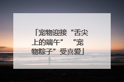 宠物迎接“舌尖上的端午” “宠物粽子”受喜爱