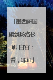 墨西哥国旗飘扬洛杉矶 白宫：看，罪证