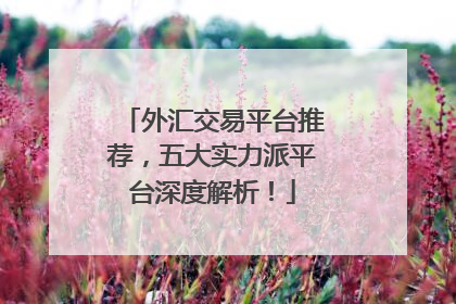 外汇交易平台推荐，五大实力派平台深度解析！