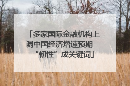 多家国际金融机构上调中国经济增速预期 “韧性”成关键词