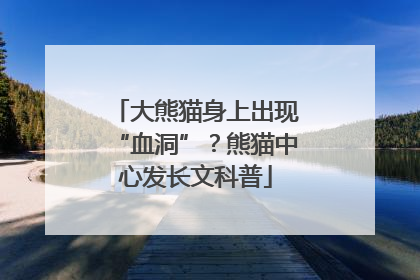 大熊猫身上出现“血洞”？熊猫中心发长文科普