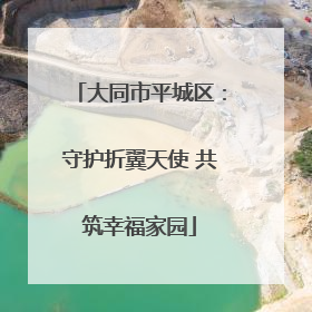 大同市平城区：守护折翼天使 共筑幸福家园