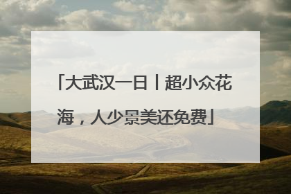 大武汉一日丨超小众花海，人少景美还免费
