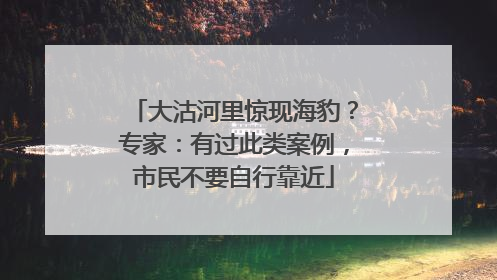大沽河里惊现海豹？专家：有过此类案例，市民不要自行靠近