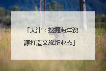 天津：挖掘海洋资源打造文旅新业态