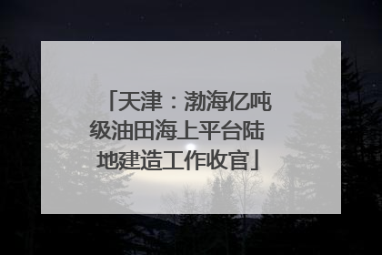 天津：渤海亿吨级油田海上平台陆地建造工作收官
