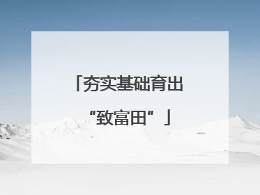 夯实基础育出“致富田”