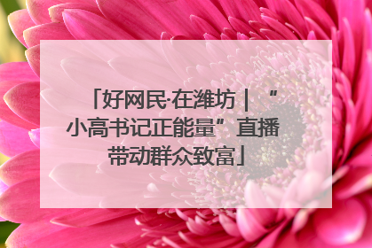 好网民·在潍坊｜“小高书记正能量”直播 带动群众致富