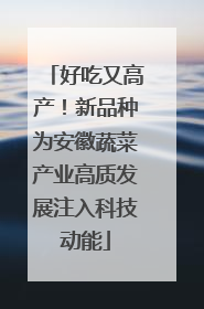 好吃又高产！新品种为安徽蔬菜产业高质发展注入科技动能