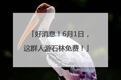好消息！6月1日，这群人游石林免费！