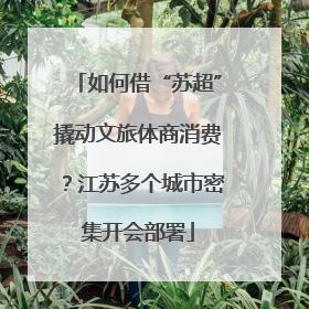 如何借“苏超”撬动文旅体商消费？江苏多个城市密集开会部署