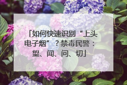 如何快速识别“上头电子烟”？禁毒民警：望、闻、问、切