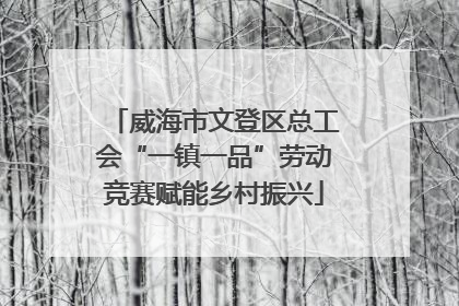 威海市文登区总工会“一镇一品”劳动竞赛赋能乡村振兴