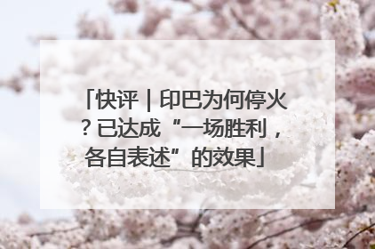 快评｜印巴为何停火？已达成“一场胜利，各自表述”的效果