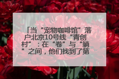 当“宠物咖啡馆”落户北京10号线“青创村”：在“卷”与“躺”之间，他们找到了第三种生活公式