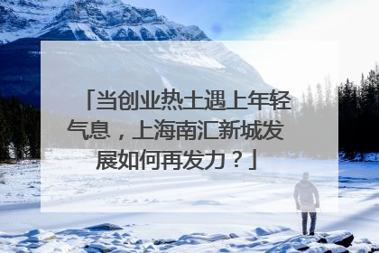 当创业热土遇上年轻气息，上海南汇新城发展如何再发力？