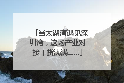 当太湖湾遇见深圳湾，这场产业对接干货满满……