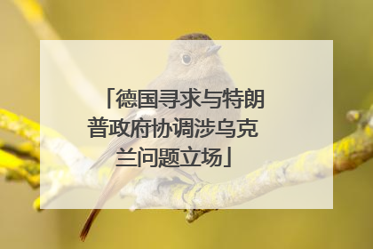 德国寻求与特朗普政府协调涉乌克兰问题立场