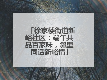 徐家楼街道新峪社区：端午共品百家味，邻里同话新峪情