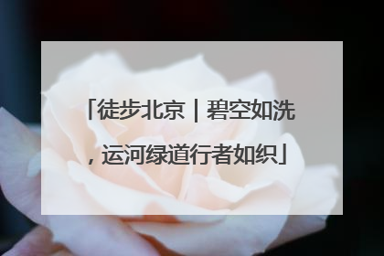 徒步北京｜碧空如洗，运河绿道行者如织
