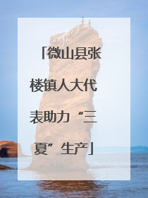 微山县张楼镇人大代表助力“三夏”生产