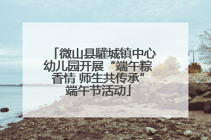微山县驩城镇中心幼儿园开展“端午粽香情 师生共传承”端午节活动