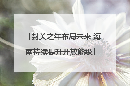 封关之年布局未来 海南持续提升开放能级