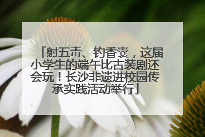 射五毒、钓香囊，这届小学生的端午比古装剧还会玩！长沙非遗进校园传承实践活动举行