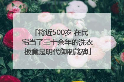 将近500岁 在民宅当了三十余年的洗衣板竟是明代御制箴碑