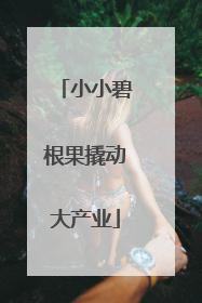 小小碧根果撬动大产业