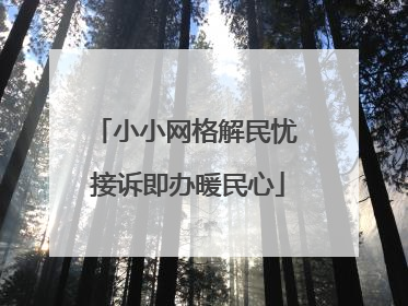 小小网格解民忧 接诉即办暖民心