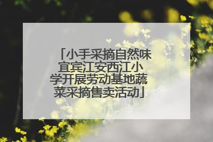 小手采摘自然味 宜宾江安西江小学开展劳动基地蔬菜采摘售卖活动