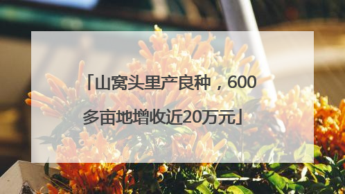 山窝头里产良种，600多亩地增收近20万元