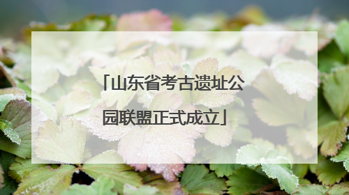 山东省考古遗址公园联盟正式成立