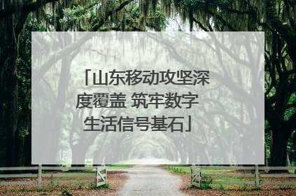 山东移动攻坚深度覆盖 筑牢数字生活信号基石