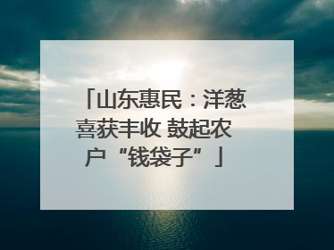 山东惠民：洋葱喜获丰收 鼓起农户“钱袋子”