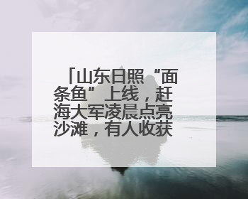 山东日照“面条鱼”上线，赶海大军凌晨点亮沙滩，有人收获满满一桶鱼