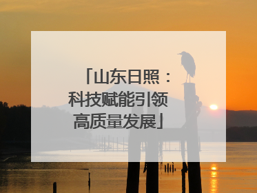 山东日照：科技赋能引领高质量发展