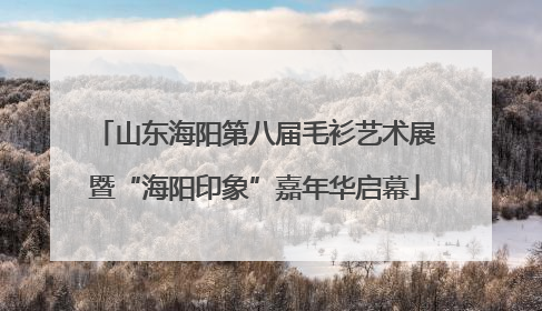 山东海阳第八届毛衫艺术展暨“海阳印象”嘉年华启幕