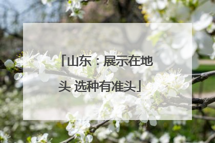 山东：展示在地头 选种有准头
