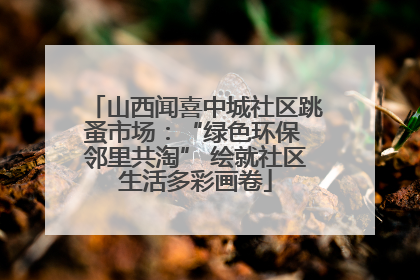 山西闻喜中城社区跳蚤市场：“绿色环保 邻里共淘” 绘就社区生活多彩画卷